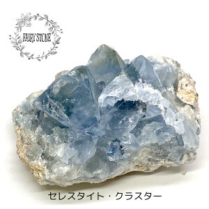 p[Xg[ VR NX^[  ZX^Cg 474g  CeA  IuWF G Mtg v[g j  nhCh ^C K^ Y fB[X