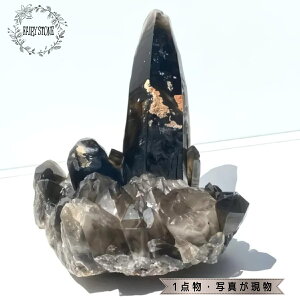 p[Xg[ VR NX^[  I 462g  CeA  IuWF G Mtg v[g j  nhCh ^C K^ Y fB[X