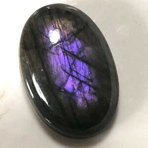 �y�S�i12��OFF�N�[�|�� 48���ԁz �p���[�X�g�[�� �V�R�� �s���N���u���h���C�g ���[�X 1�_�� No13836 �΂甄�� �f�� �p�[�c �M�t�g �v���[���g �j�� ���� �n���h���C�h �^�C �K�^ �I���W�i�� ����