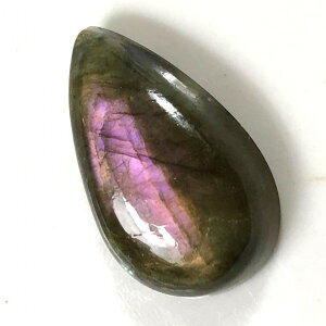 p[Xg[ VR sNuhCg [X 1_ No13841 ΂甄 f p[c Mtg v[g j  nhCh ^C K^ IWi Y fB[X