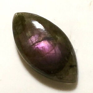 �y�S�i12��OFF�N�[�|�� 48���ԁz �p���[�X�g�[�� �V�R�� �s���N���u���h���C�g ���[�X 1�_�� No13844 �΂甄�� �f�� �p�[�c �M�t�g �v���[���g �j�� ���� �n���h���C�h �^�C �K�^ �I���W�i�� ����