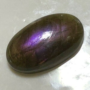 �y�S�i12��OFF�N�[�|�� 48���ԁz �p���[�X�g�[�� �V�R�� �s���N���u���h���C�g ���[�X 1�_�� No13845 �΂甄�� �f�� �p�[�c �M�t�g �v���[���g �j�� ���� �n���h���C�h �^�C �K�^ �I���W�i�� ����