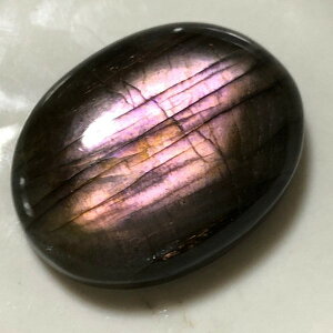 p[Xg[ VR sNuhCg [X 1_ No13848 ΂甄 f p[c Mtg v[g j  nhCh ^C K^ IWi Y fB[X