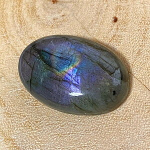 p[Xg[ VR sNuhCg [X 1_ No14446 ΂甄 f p[c Mtg v[g j  nhCh ^C K^ IWi Y fB[X