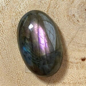 �y�S�i12��OFF�N�[�|�� 48���ԁz �p���[�X�g�[�� �V�R�� �s���N���u���h���C�g ���[�X 1�_�� No14448 �΂甄�� �f�� �p�[�c �M�t�g �v���[���g �j�� ���� �n���h���C�h �^�C �K�^ �I���W�i�� ����