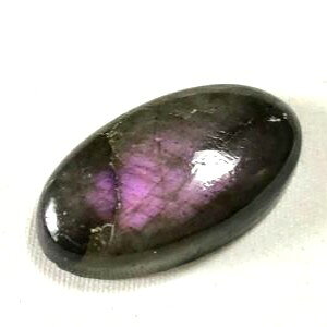 �y�S�i12��OFF�N�[�|�� 48���ԁz �p���[�X�g�[�� �V�R�� �s���N���u���h���C�g ���[�X 1�_�� No13569 �΂甄�� �f�� �p�[�c �M�t�g �v���[���g �j�� ���� �n���h���C�h �^�C �K�^ �I���W�i�� ����