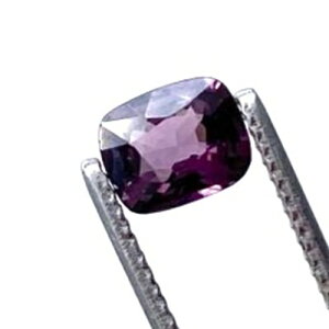 p[Xg[ VR Xsl [X P[Xt  1 ΂甄  No.14331 f p[c Mtg v[g j  nhCh ^C K^ IWi Y fB[X