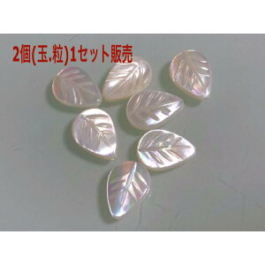 p[Xg[ VF F̋P [t 2 nhCh f Zbg v[g ANZT[  j nhCh Mtg ^C K^ IWi Y fB[X