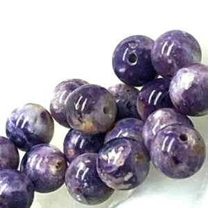 p[Xg[ VR eBt@j[Xg[ 8mm 1 1ʔ ΂甄 f p[c Mtg v[g j  nhCh ^C K^ IWi Y fB[X