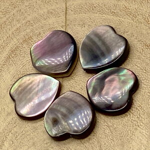 p[Xg[ VR VF ubNVF n[g 12mm 1 ΂甄 1ʔ̔ f p[c Mtg v[g j  nhCh ^C K^ IWi Y fB[X