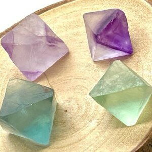 VR p[Xg[ t[Cg ʑ 4Zbg 24`32~   CeA IuWF  G 50.81O