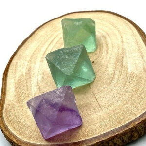 VR p[Xg[ t[Cg ʑ 3Zbg 24`32~   CeA IuWF  G 49.27O