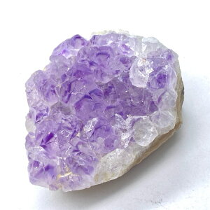 p[Xg[ VR NX^[  AWXg t@gAWXg 88.03O  CeA  IuWF G Mtg v[g j  nhCh ^C K^ Y f