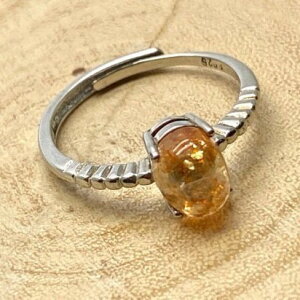 TXg[ O VR p[Xg[  w SV925 t[TCY v[g ANZT[  j 1_ Mtg ^C K^ IWi Y fB[X