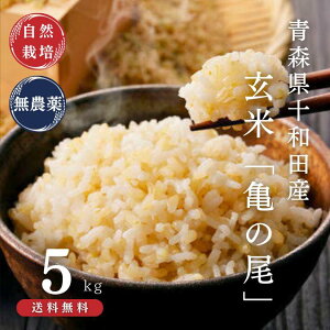 yVāz T̔ ߘa7NY V (5kg) [X\acsY]юc犠܂ňؔ_sgpEw엿sgpEܕsgp I ̂Ȃ́u͂iˁj|v