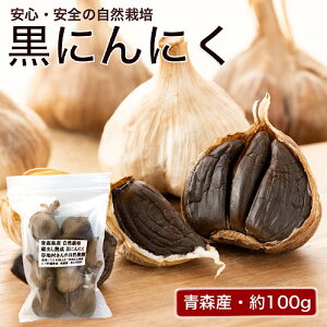 Jn_ ɂɂ 100g×1 [XY]
