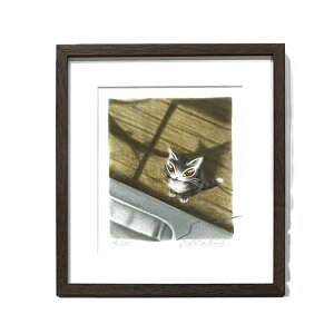 킿ӂ[ WO[ŉ F̃{ [{] [萔300]