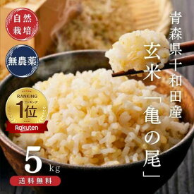 自然栽培米 玄米 亀の尾 令和7年産 (5kg) [青森県十和田市産]小林式十和田奥入瀬 育苗から刈取まで一切農薬不使用・化学肥料不使用・除草剤・除虫剤不使用 無選別 ご家庭で備蓄可能な玄米【特別栽培米】