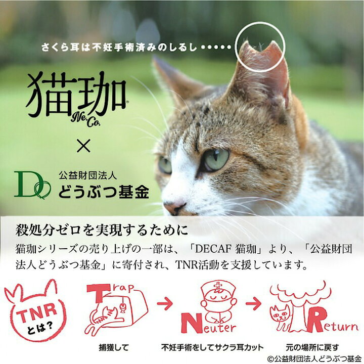 楽天市場 7袋入り Kurocafe 猫珈 きんちゃく カフェインレスコーヒーセット ドリップバック 1ヶ入 7種 コロンビア ブラジル エチオピア デカフェ カフェインレス コーヒー ねこ ギフト フェアリーチェｐｌｕｓ