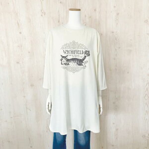 킿ӂ[ǈّfރ`jbN  ×D Fit[j[{]