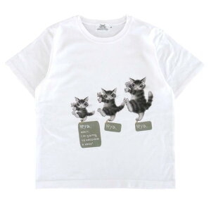 킿ӂ[ A[gTVc iM^Lj[]