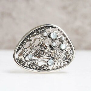 RWG[ bY sVсt u[`y_g [{] pV[ibYj{Rokuzan `F[͕tĂ܂B