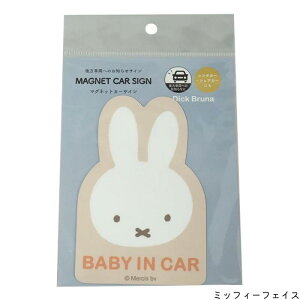 nicott(jRbg)F~btB[ }OlbgJ[TC i~btB[tFCX^~btB[{X^M@j