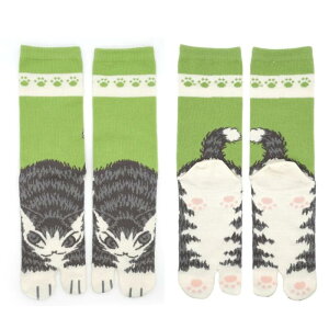 [Vǉ] 킿ӂ[ ܃\bNX L̂ i3^j []