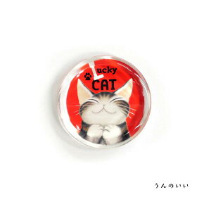 킿ӂ[ ̂KXu (̂^_܂˂^W^܂˂) [{]