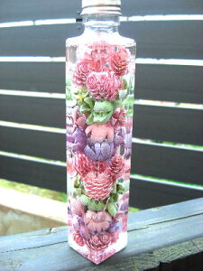 AW{@n[oE@~bNXR[XvOPK@p{gyn著zXIWi@nhCh@Mtg@v[g@hV̓