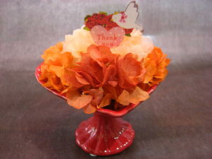 vU[uht[@@n[gX^hx[X@TL[sbNtyn著zԁ@j@Mtg@v[g@sv