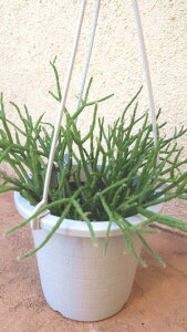 T{e@vTXwZEXN@փA[x4TCY݂蔫yn著zy󏭁z̊ϗtA@CeAO[@ϗtA@@킢@CeA@Mt