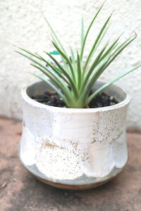 ϗtA@A@AKx@ii@Ayn著z̊ϗtA@CeAO[@jO@