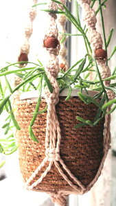 T{e@vTXw~NTx4 Jo[Zbgyn著zy󏭁z̊ϗtA@CeAO[@ϗtA@@킢@CeA@Mtg@v