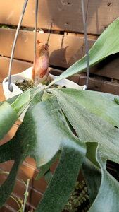 ϗtA@RE(rJNV_jrtJc@7TCYݔyn著z̊ϗtA@CeAO[@ϗtA@@CeA@Mtg@v[g