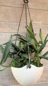 ϗtA@鐫A@nuJY@7TCYݔyn著z̊ϗtA@CeAO[@ϗtA@@CeA@Mtg@v[g