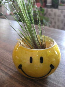 A@GA[vc@`WA@X}C[|bgZbgNEW̊ϗtA@ϗtA@CeA@@@CeAO[