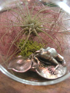 A@GA[vc@`WA@KX{EnMO@AW@yn著z̊ϗtA@ϗtA@CeA@@@CeAO[