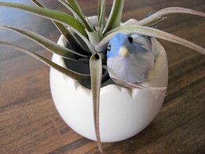 A@GA[vc@`WA@GbO|bg@t̊ϗtA@ϗtA@CeA@@@CeAO[