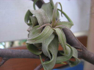 A@GA[vc `WA XgvgtB@@M[TCYyn著zy荢iz󏭁@A@̊ϗtA@ϗtA@CeA@@