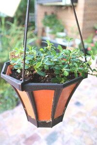 ϗtA@KW}@VO@鐫@5ݔyn著z̊ϗtA@CeAO[@ϗtA@@ϗtA@CeA@ϗtA@݂艺@n