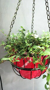 ϗtA@KW}@VO@鐫@5TCYACA̒ݔtyn著z̊ϗtA@CeAO[@ϗtA@@ϗtA@CeA@