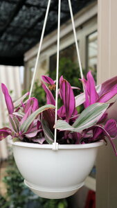 ϗtA@gfBXJ`A@ik[N@6TCY@݂蔫yn著z̊ϗtA@CeAO[@nMO@݂@GL]`bN@IV@@Mt