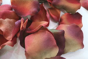 ԁ@A[eBtBVt[@[Y؃^ԁiỏԂтjy[։z