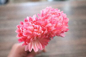 A[eBtBVt[@ԁ@tFCNt[@}sbNsN2{Zbg