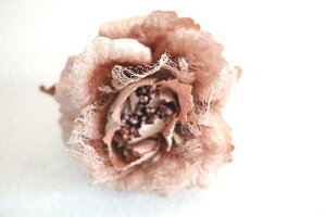 RT[W@AeB[NsN[X[Y@A[eBtBVt[@