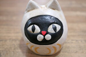 CeAG݁@L܁@MSTCY@KOPI PANAS(RspiX)yn著z