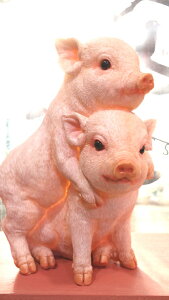 K[fI[ig IuWF@q؂̌Zyn著z