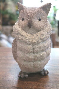 CeAG݁@IuWF@_ExXgtNE