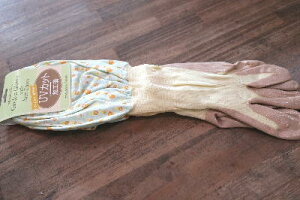 K[fO[u@u[A[Jo[ty[֑z